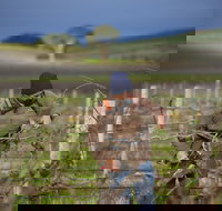 Kurtz Family Vineyards - Accommodation Yamba