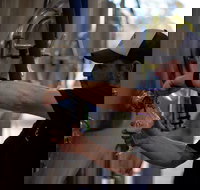 Wild Hop Brewing Company - Accommodation Yamba