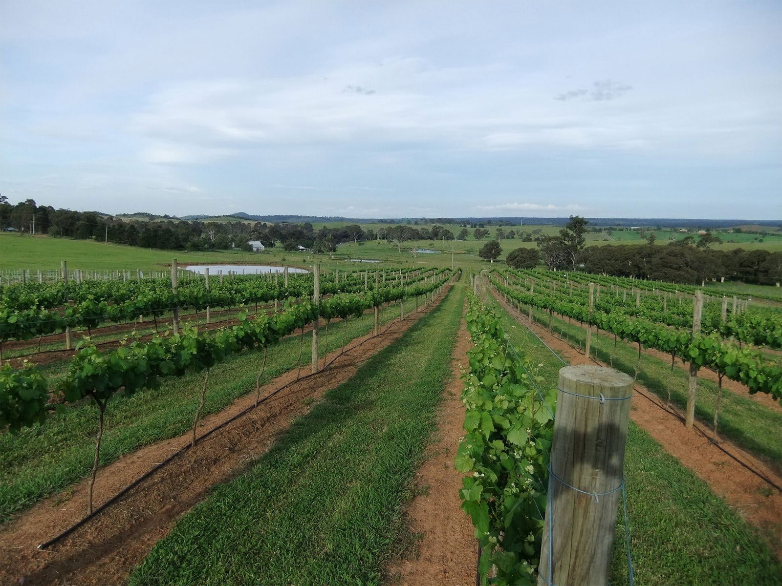 Menangle NSW Accommodation Yamba