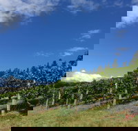 Freycinet Vineyard - Accommodation Yamba