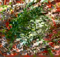 Mount Buninyong Winery - Accommodation Yamba