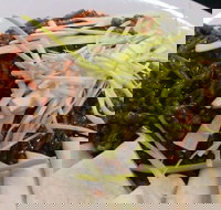 Rising Sun Hotel - Accommodation Yamba