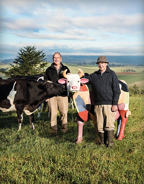 Ashgrove Farm Cheese - Accommodation Yamba 1