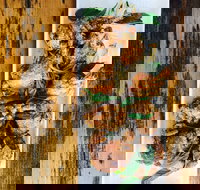 The River Hotel - Accommodation Yamba