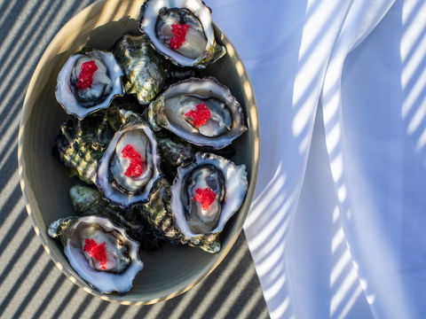 The Rocks - Restaurant, Bar, Pool Club - Accommodation Yamba 1