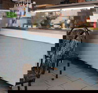 The Natural Cafe - Accommodation Yamba