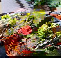 The Berry Farm Cottage Caf - Accommodation Yamba