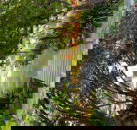 Velvet  Willow - Accommodation Yamba