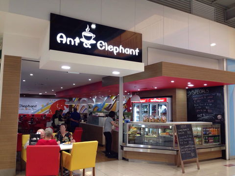 Ant & Elephant - Accommodation Yamba 0