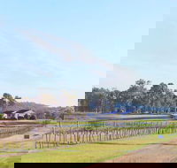 Blacklea Vineyard and Olive Grove