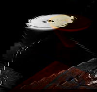 Iddy Biddy - Accommodation Yamba