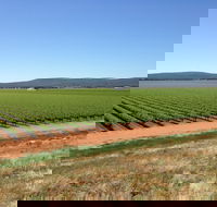 Melange Wines - Accommodation Yamba