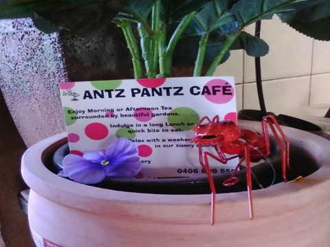 Antz Pantz Cafe - Accommodation Yamba 0