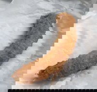 Blue Ocean - Accommodation Yamba