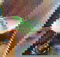 Wildwater Grill - Accommodation Yamba