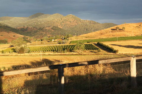 Optimiste Wines - Accommodation Yamba 0
