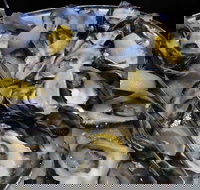 View 42o - Accommodation Yamba