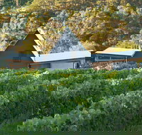 Two Bud Spur Vineyard - Accommodation Yamba