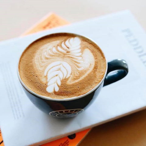 Espresso Warriors Gregory Hills - Accommodation Yamba 1