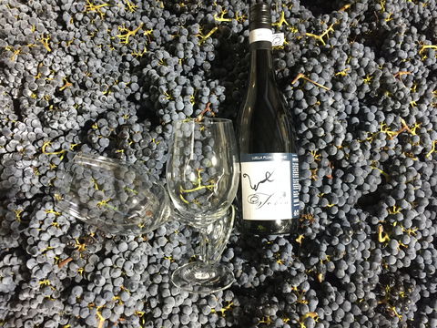 Tobin Wines - Accommodation Yamba 0