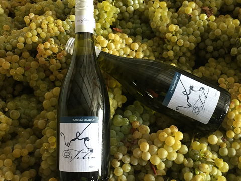 Tobin Wines - Accommodation Yamba 2