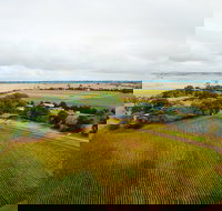 Pettavel Wines - Accommodation Yamba