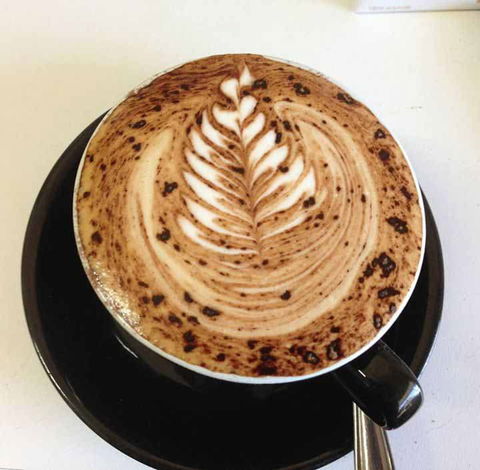 Queens Park Pizza - Accommodation Yamba 0