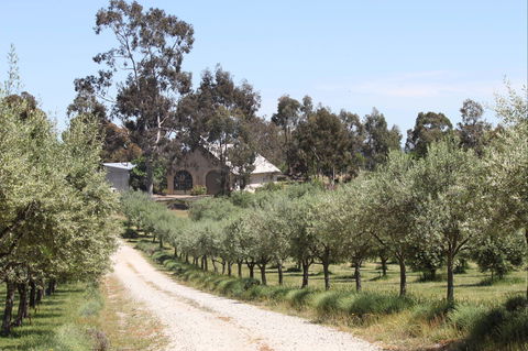 L'Oliveraie Olive Grove - Accommodation Yamba 0