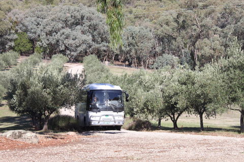 L'Oliveraie Olive Grove - Accommodation Yamba 2
