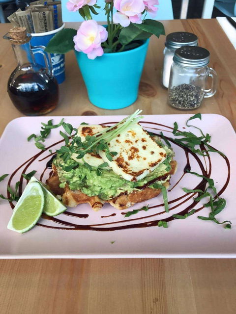 Rofl Wafl - Accommodation Yamba 0