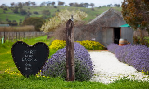Hart Of The Barossa - Accommodation Yamba 0