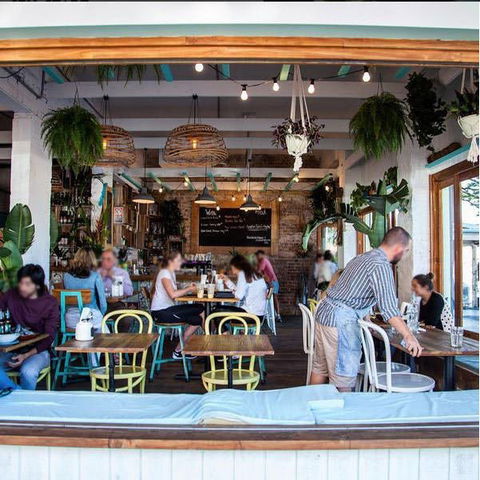 Little Jack Horner - Accommodation Yamba 0