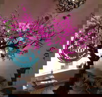 Keep It Short and Sweet - Accommodation Yamba