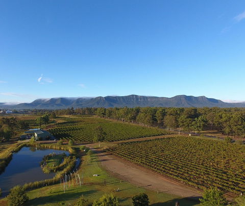 Mistletoe Winery - Accommodation Yamba 0