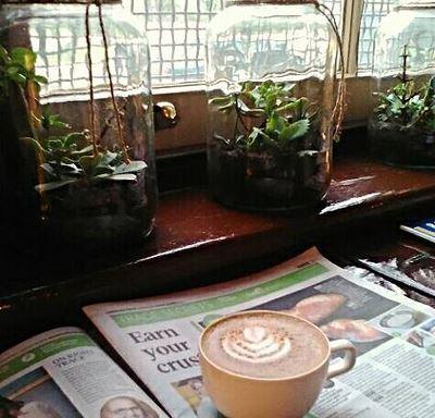Cafe Invigor8 - Accommodation Yamba 7
