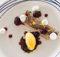 Wild Herring - Accommodation Yamba