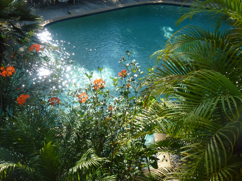 Avoca Beach Hotel - Accommodation Yamba 0