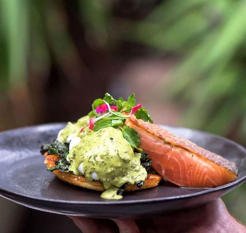 Armchair Collective - Accommodation Yamba 9