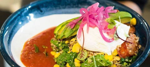 Armchair Collective - Accommodation Yamba 10