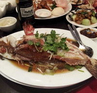Shark Fin Inn - Accommodation Yamba