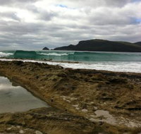 Bruny Island Berry Farm - Accommodation Yamba