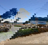 Penguin  Pardalote Coffee House - Accommodation Yamba