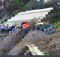 The Bay Fish - Accommodation Yamba