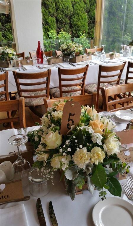 Morning Star Estate Venue - Accommodation Yamba 12