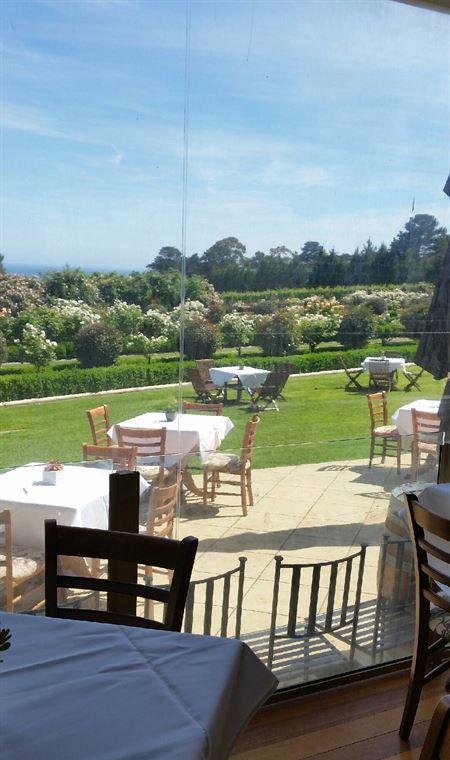 Morning Star Estate Venue - Accommodation Yamba 13