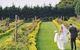 Morning Star Estate Venue - thumb 1