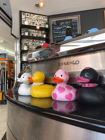 Scope Cafe - Accommodation Yamba 0
