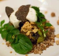 Foragers - Accommodation Yamba