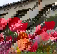 Tiny Tea Shop - Accommodation Yamba