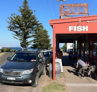Fish - Accommodation Yamba